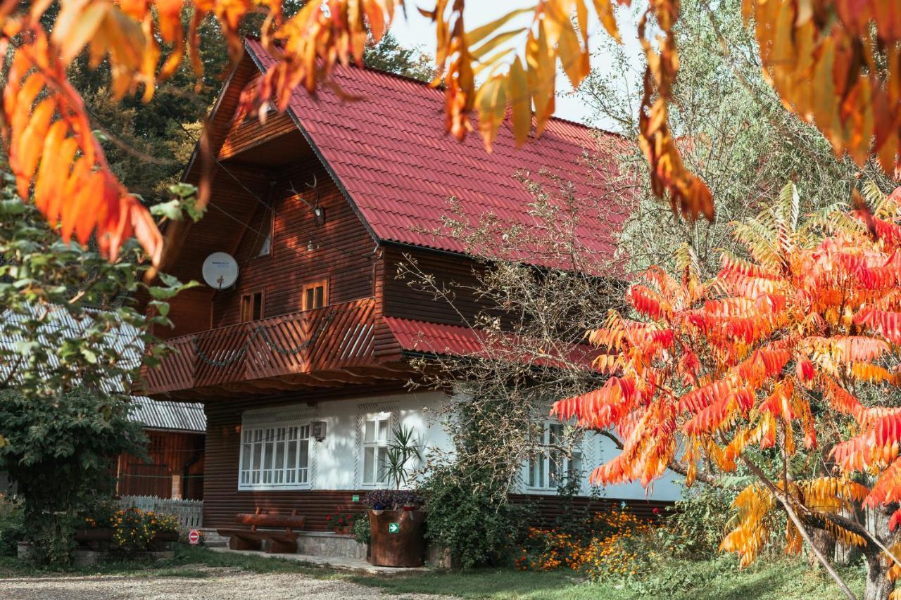 Pensiunea Poiana De Vis Sucevita Exteriör bild