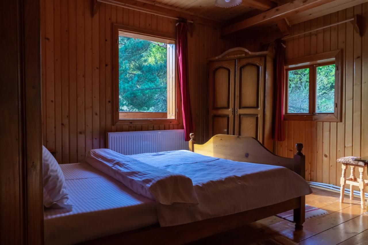 Pensiunea Poiana De Vis Sucevita Exteriör bild