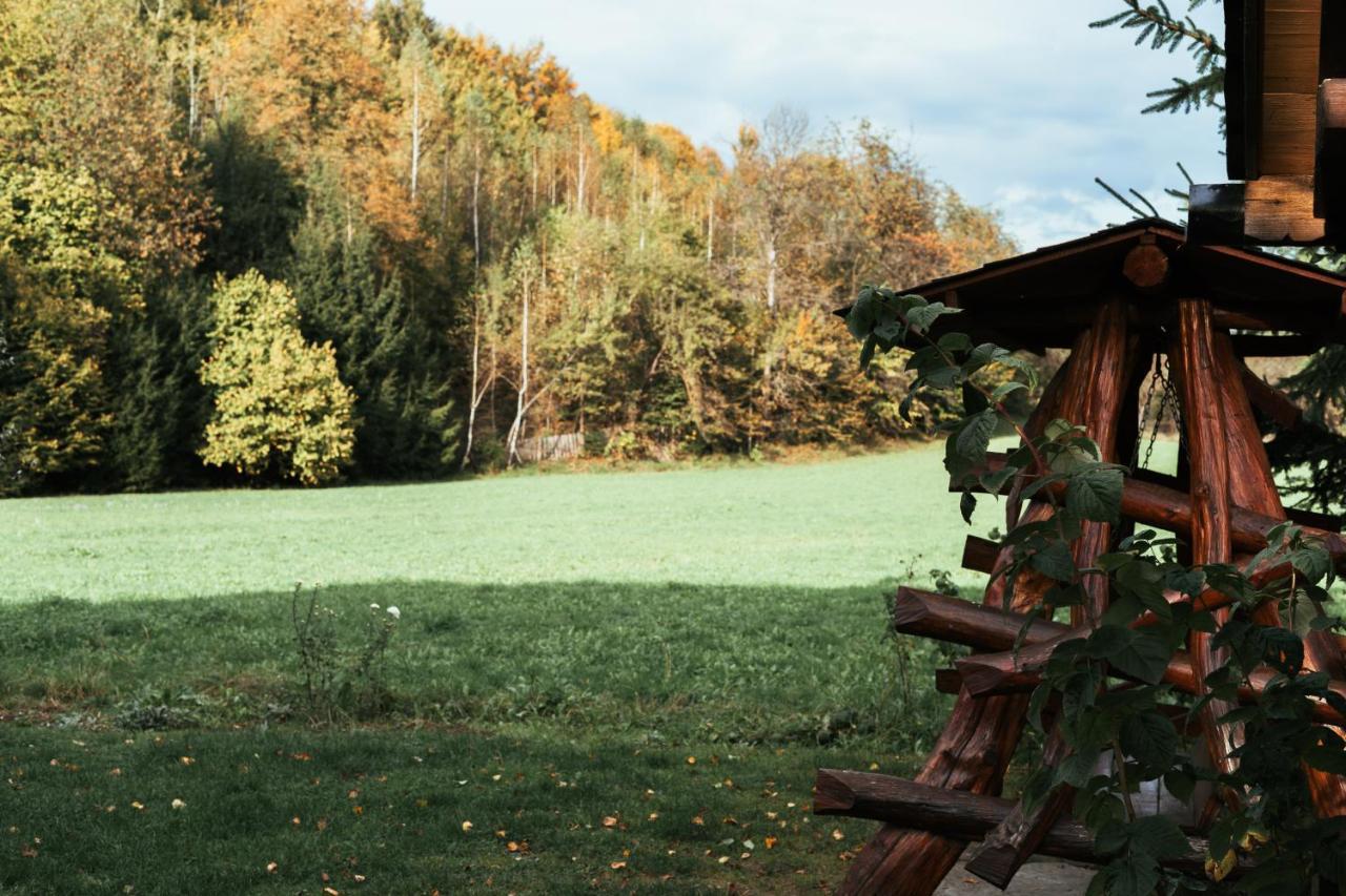 Pensiunea Poiana De Vis Sucevita Exteriör bild