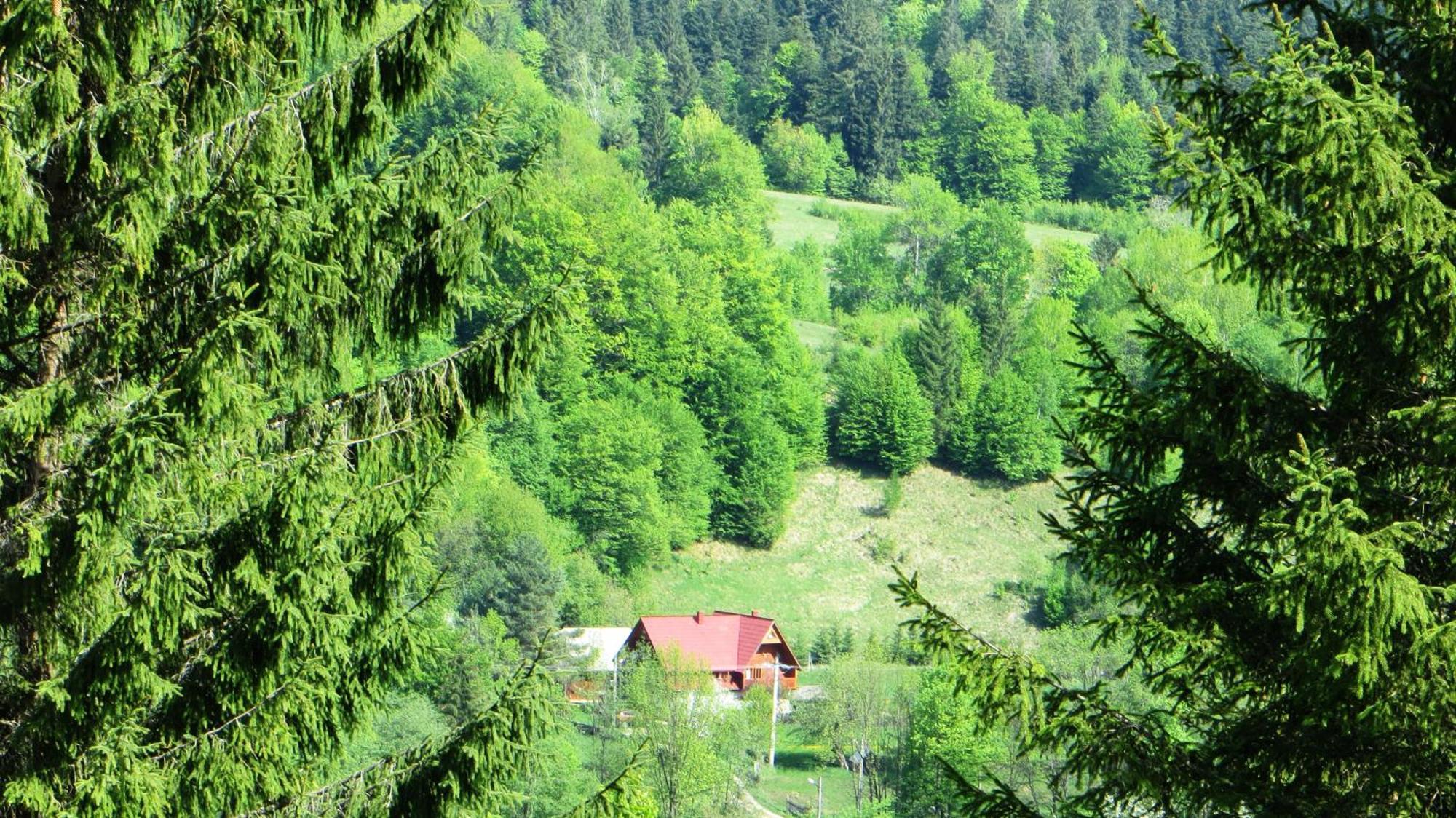 Pensiunea Poiana De Vis Sucevita Exteriör bild