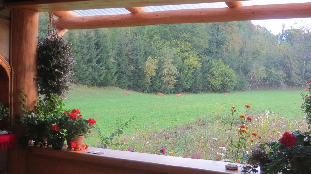Pensiunea Poiana De Vis Sucevita Exteriör bild