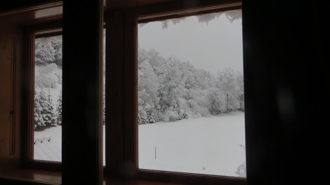 Pensiunea Poiana De Vis Sucevita Exteriör bild